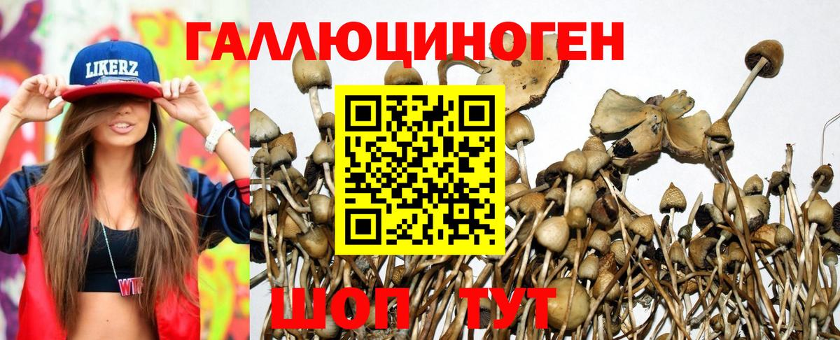Галлюциногенные грибы GOLDEN TEACHER Новосибирск