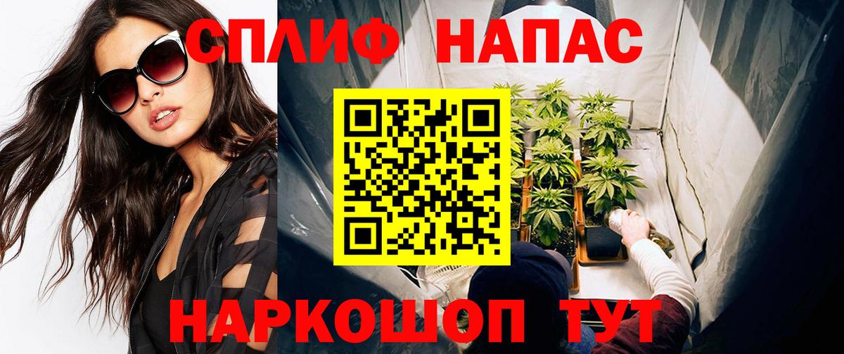 Бошки Шишки LSD WEED  МАРИХУАНА индика  Новосибирск  Вход с VPN 